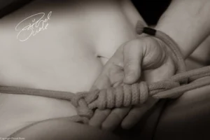 0T2A2424-Verbessert-RR